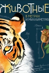 Книга Животные в метрах и миллиметрах