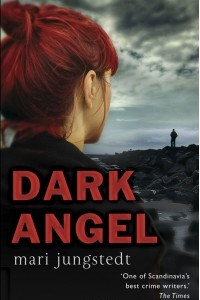 Книга Dark Angel