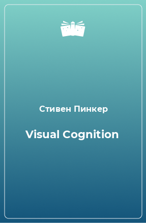Visual Cognition