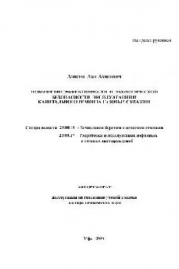 Книга Повышение эффективности и экологической безопасности эксплуатации и капитального ремонта газовых скважин(Автореферат)