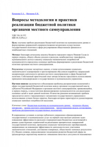 Книга Вопросы методологии и практики реализации бюджетной политики органами местного самоуправления