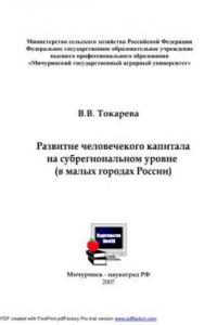 Книга Развитие человеческого капитала на субрегиональном уровне (в малых городах России)
