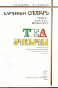 Книга Русско-татарско-английский картинный словарь
