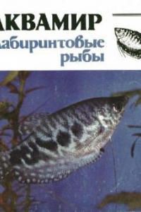 Книга Аквамир. Лабиринтовые рыбы