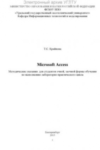 Книга Microsoft Access