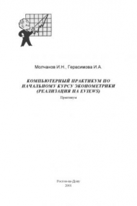 Книга Компьютерный практикум по начальному курсу эконометрики (реализация на Eviews)