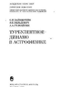 Книга Турбулентное динамо в астрофизике