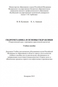 Книга Гидромеханика и основы гидравлики. (Теоретический курс с примерами практических расчетов)