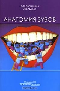 Книга Анатомия зубов
