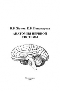 Книга Анатомия нервной системы Учеб. пособие