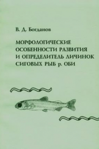 Морфологические особенности развития и определитель личинок сиговых рыб р. Оби