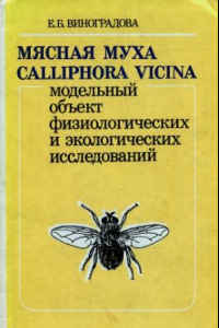 Книга Мясная муха (Calliphora vicina) -- модельный объект экологических и физиологических исследований