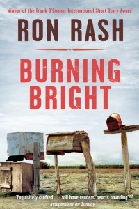 Книга Burning Bright