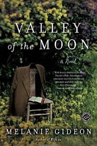 Книга Valley of the Moon