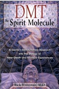 Книга DMT: The Spirit Molecule
