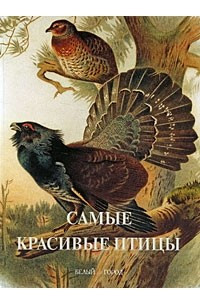 Книга Самые красивые птицы