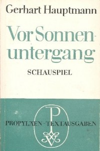 Книга Vor Sonnenuntergang