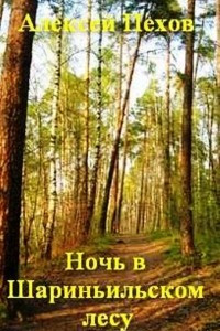 Книга Ночь в Шариньильском лесу