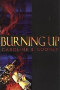 Книга Burning Up