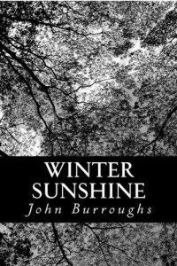 Книга Winter Sunshine