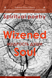 Книга Мудрость души. Wizened soul
