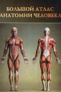 Книга Большой атлас анатомии человека