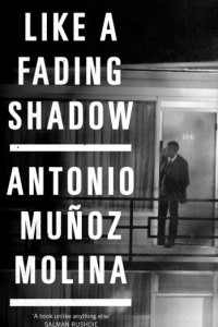 Книга Like a Fading Shadow