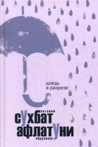 Книга Дождь в разрезе