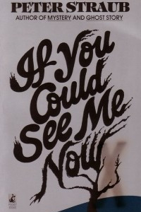 Книга If You Could See Me Now