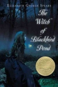 Книга The Witch of Blackbird Pond
