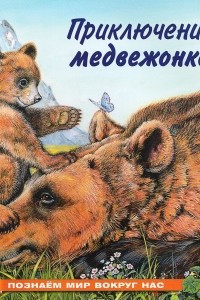 Книга Приключения медвежонка