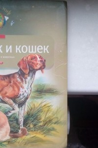 Книга Про собак и кошек