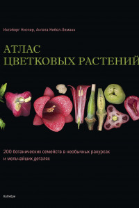 Книга Атлас цветковых растений: 200 ботанических семейств в необычных ракурсах и мельчайших деталях