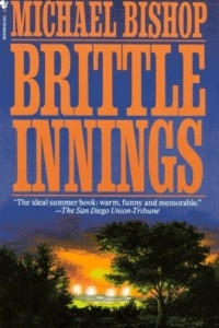 Книга Brittle Innings