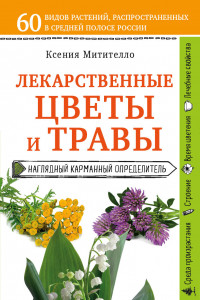 Книга Лекарственные цветы и травы. Наглядный карманный определитель