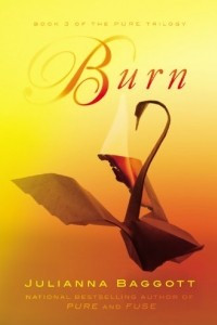 Книга Burn