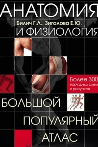 Книга Анатомия и физиология. Большой популярный атлас