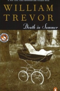 Книга Death in Summer