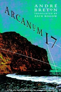 Книга Arcanum 17