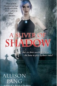 Книга A Sliver of Shadow