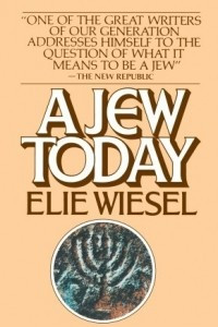 Книга A Jew Today