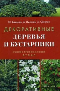 Книга Декоративные деревья и кустарники