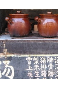 Книга Qiological 63. Flavor Based Medicine: Exploring Preparation Methods From the Shang Han Lun