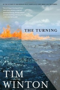 Книга The Turning: Stories
