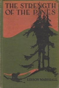 Книга The Strength of the Pines