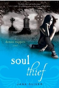Книга Soul Thief