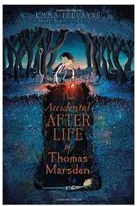 Книга The Accidental Afterlife of Thomas Marsden
