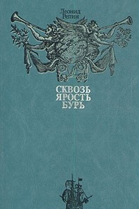 Книга Сквозь ярость бурь