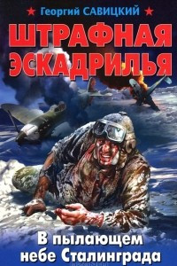 Книга Штрафная эскадрилья. В пылающем небе Сталинграда