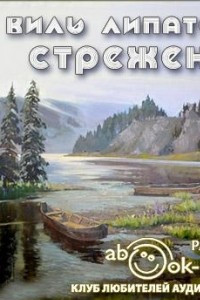 Книга Стрежень